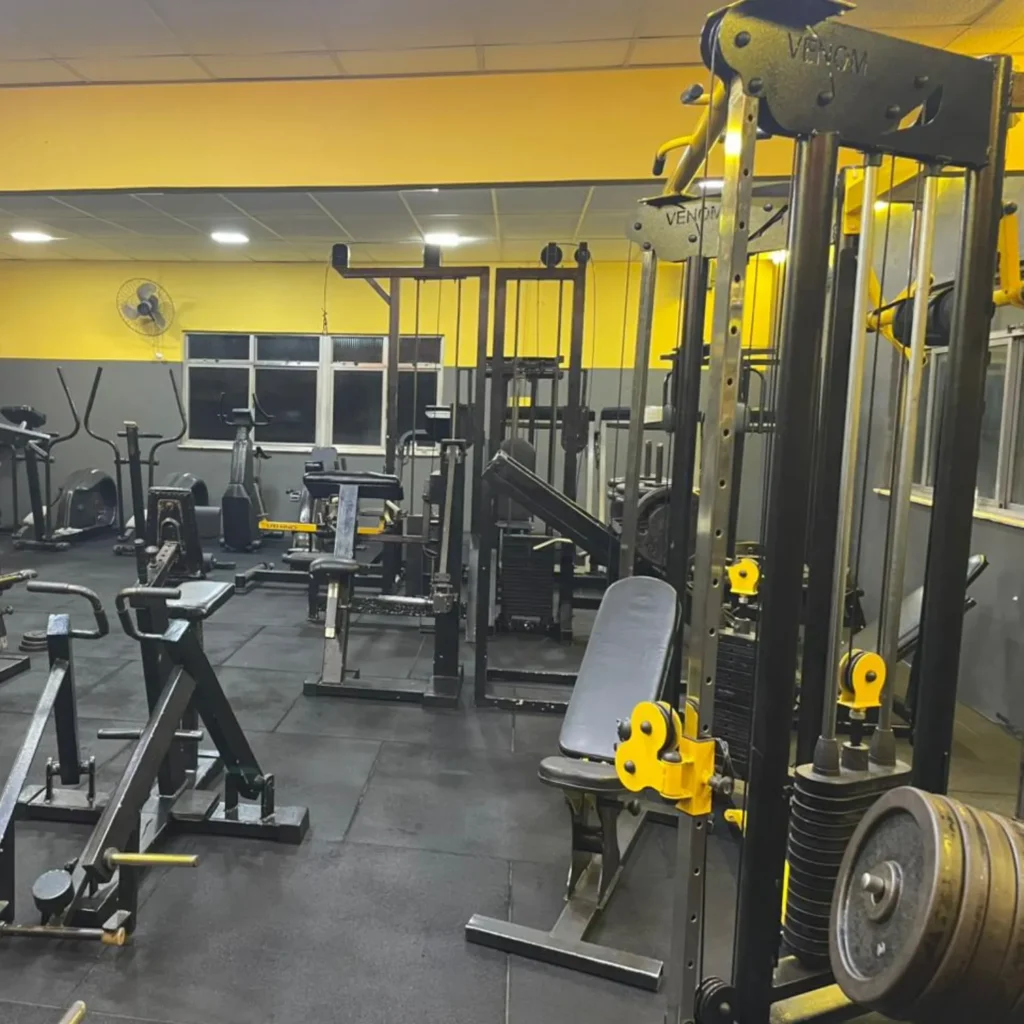 musculação shape fit tribobo